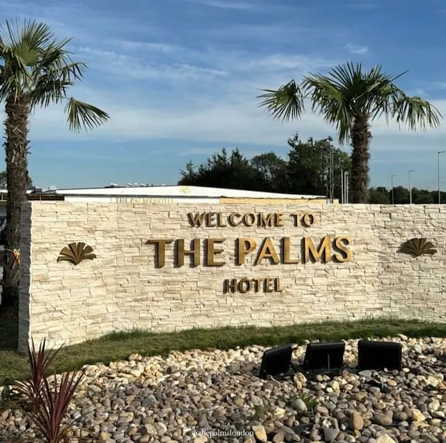 Palms 2