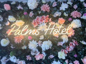Palms 1