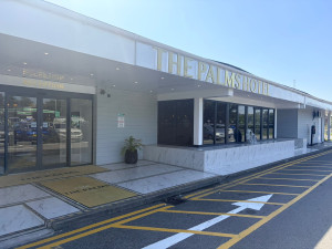 Palms 2